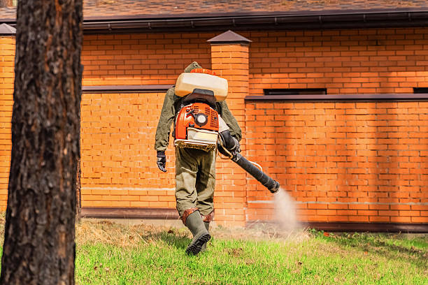 Trusted Fumigation Services service in Corte Madera, CA - Nex Pest Control
